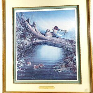 Spring Splendor - Green Wing Teal by Sam Timm signed 3211/5000 limited edition